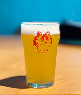 20L桶裝