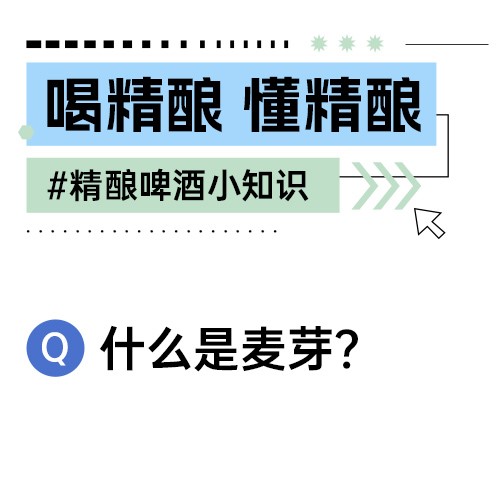 狮猫精酿啤酒(烟台)有限公司官网|精酿啤酒研发、生产、销售,oem代加工定制服务以及酒馆餐饮加盟