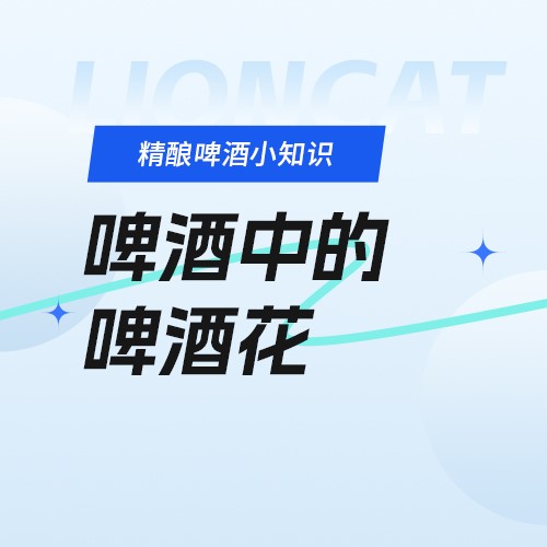 狮猫精酿啤酒（烟台）有限公司官网|精酿啤酒研发、生产、销售，oem代加工定制服务以及酒馆餐饮加盟
