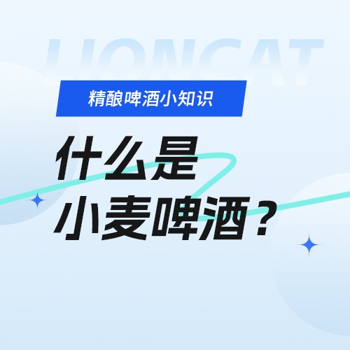 狮猫精酿啤酒（烟台）有限公司官网|精酿啤酒研发、生产、销售，oem代加工定制服务以及酒馆餐饮加盟
