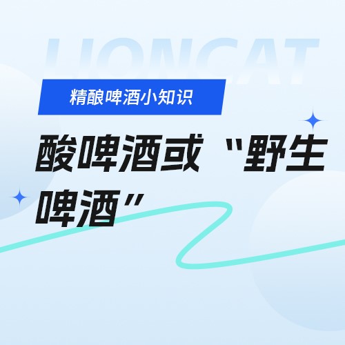 狮猫精酿啤酒（烟台）有限公司官网|精酿啤酒研发、生产、销售，oem代加工定制服务以及酒馆餐饮加盟