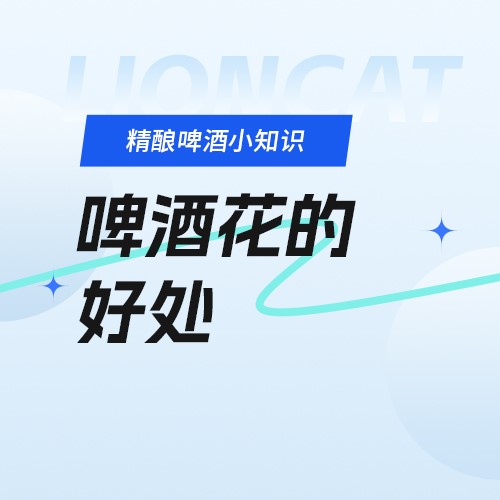 狮猫精酿啤酒（烟台）有限公司官网|精酿啤酒研发、生产、销售，oem代加工定制服务以及酒馆餐饮加盟