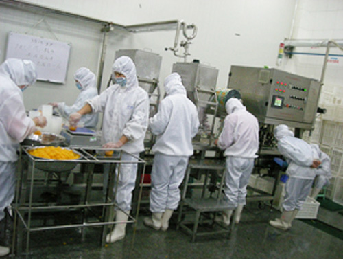 生産工程