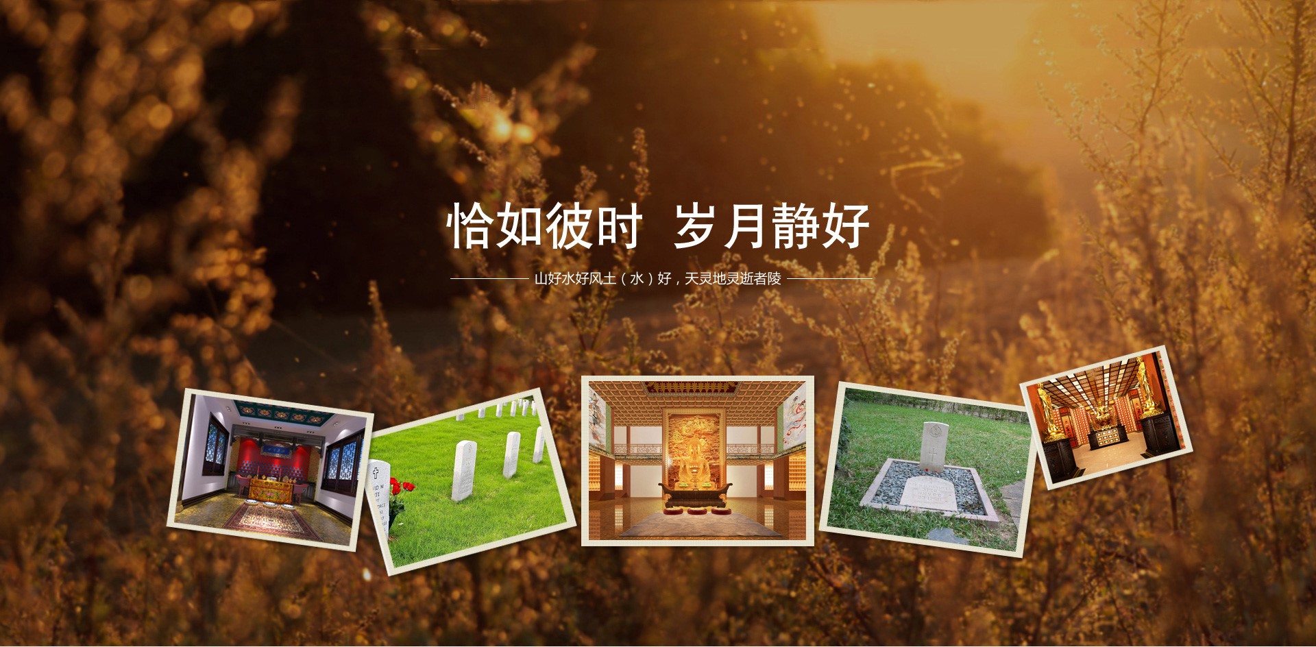 浅谈烟台陵园的背景资料